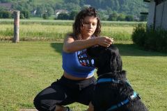Hundeschule am 14.06.2025
