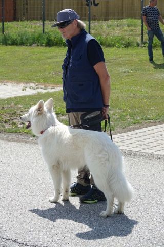 k-DSC01238