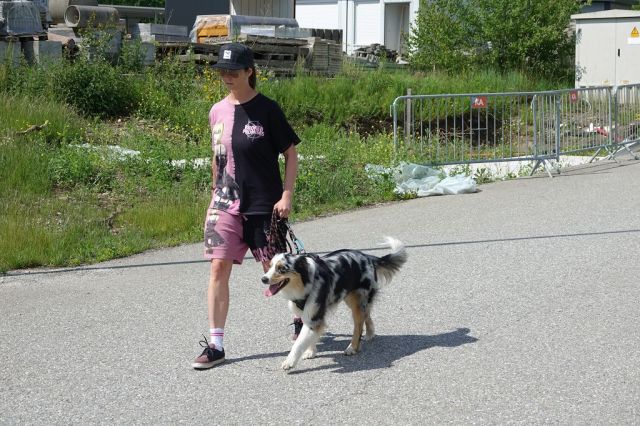 k-DSC01252
