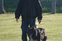 Hundeschule am 02.05.2026