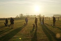 Hundeschule am 03.10.2026