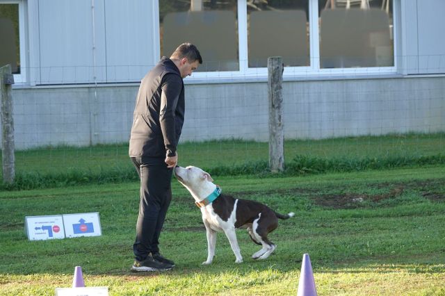 k-DSC02958
