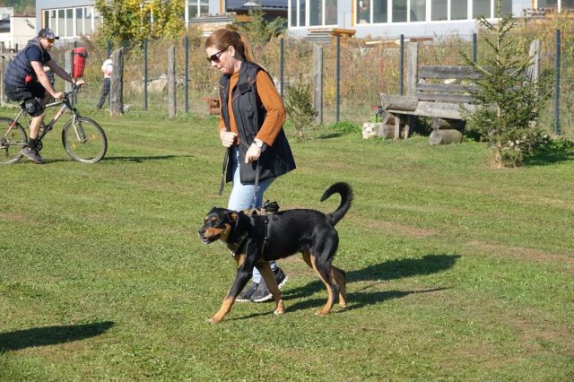 k-DSC03056