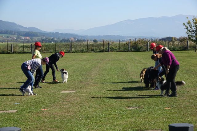 k-DSC03155