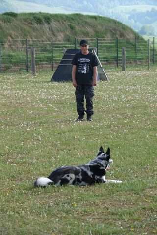 k-DSC00208
