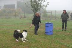 Hundeschule am 12.09.2026