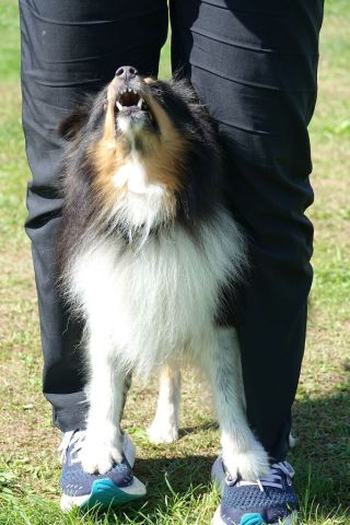 k-DSC02388