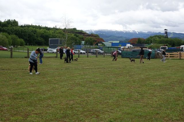 k-DSC00559