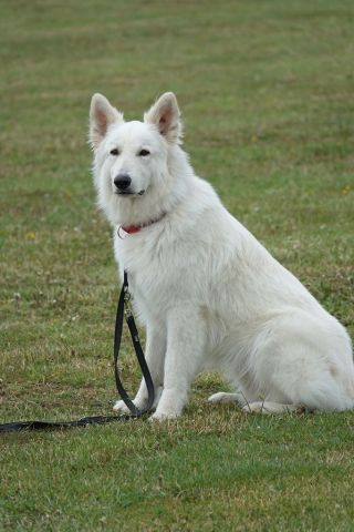 k-DSC00606