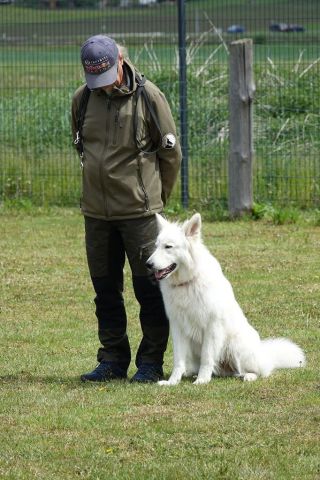 k-DSC00610