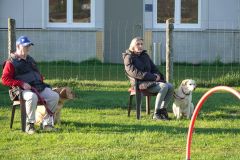 Hundeschule am 18.04.2026