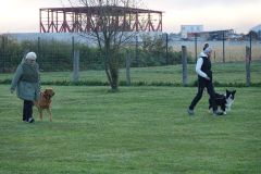 Hundeschule am 18.10.2025