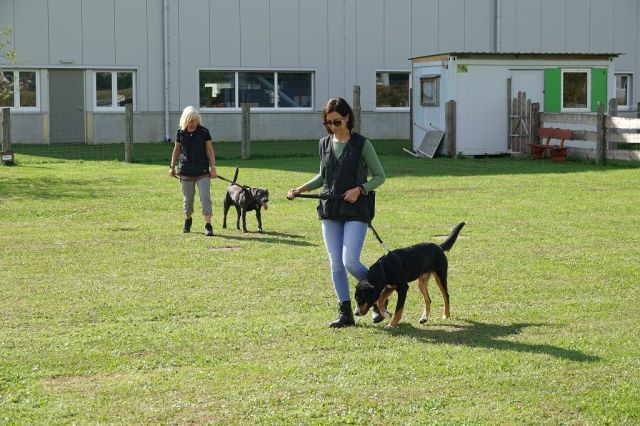 k-DSC02574