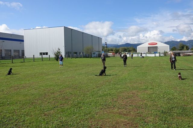 k-DSC02590