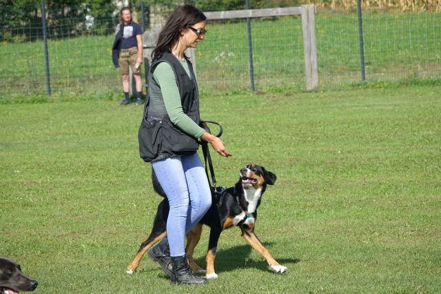 k-DSC02598
