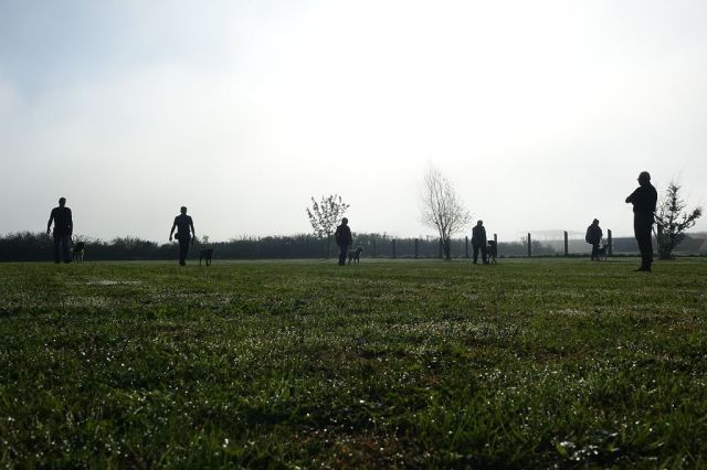 k-DSC02107