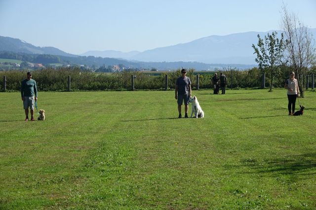 k-DSC02182