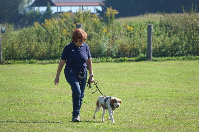 k-DSC02212