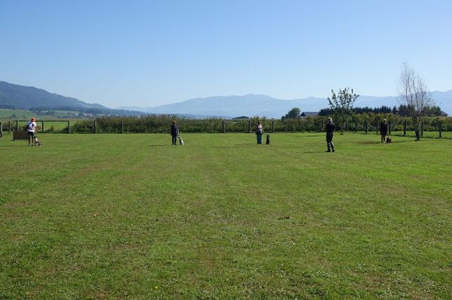 k-DSC02217