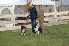 Hundeschule am 21.03.2026