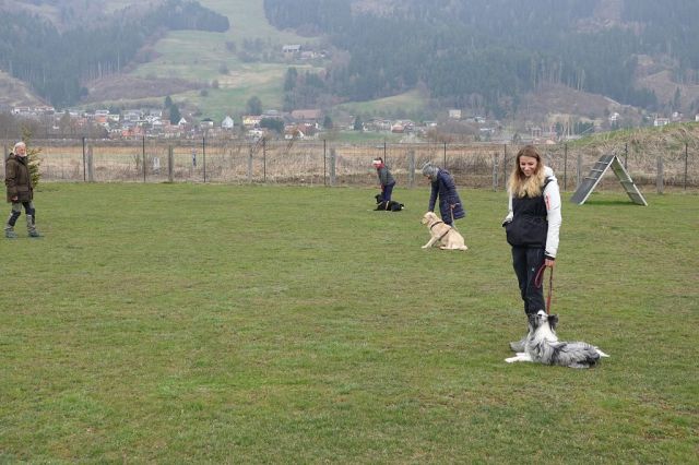 k-DSC04454