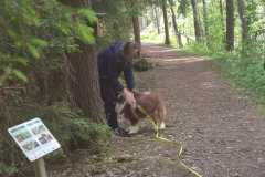 Hundeschule am 21.05.2026