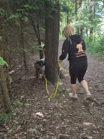 IMG-20260521-WA0009