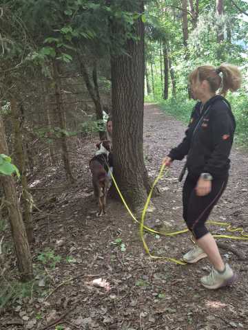 IMG-20260521-WA0011