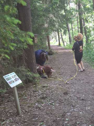 IMG-20260521-WA0012