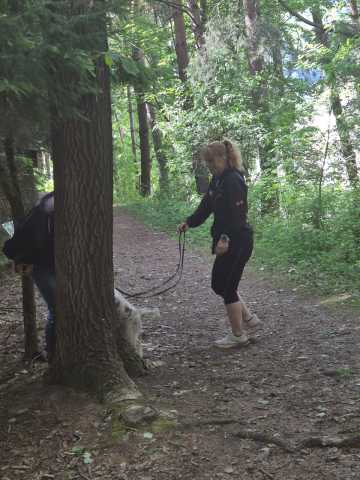IMG-20260521-WA0014