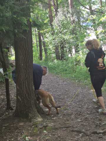 IMG-20260521-WA0015