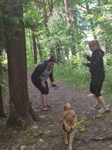 IMG-20260521-WA0016