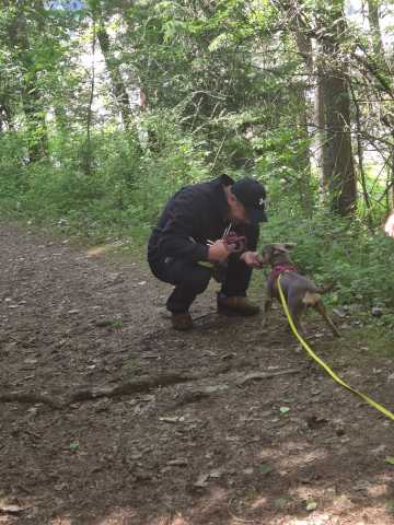 IMG-20260521-WA0017