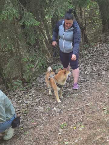IMG-20260521-WA0020