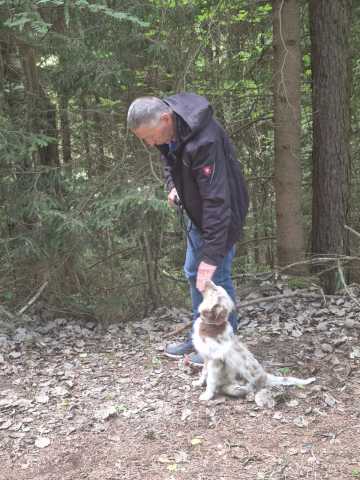IMG-20260521-WA0025