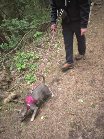 IMG-20260521-WA0029