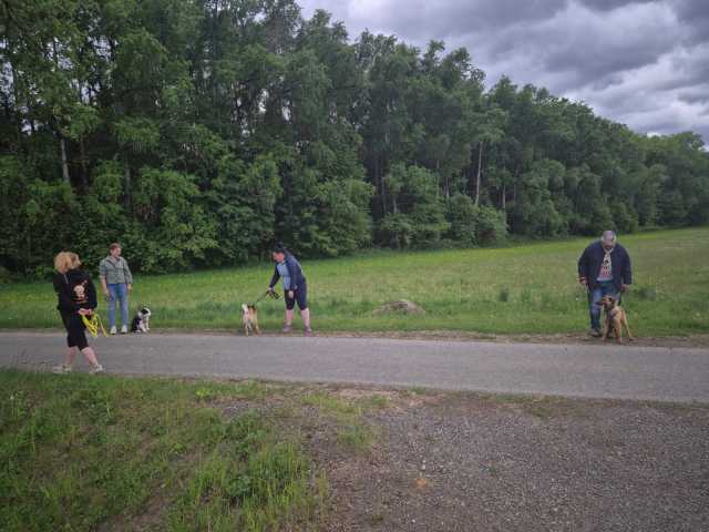 IMG-20260521-WA0030
