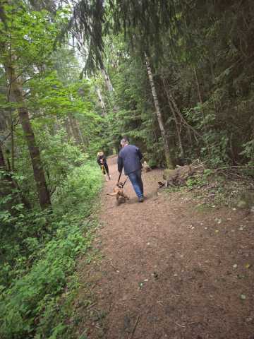 IMG-20260521-WA0031