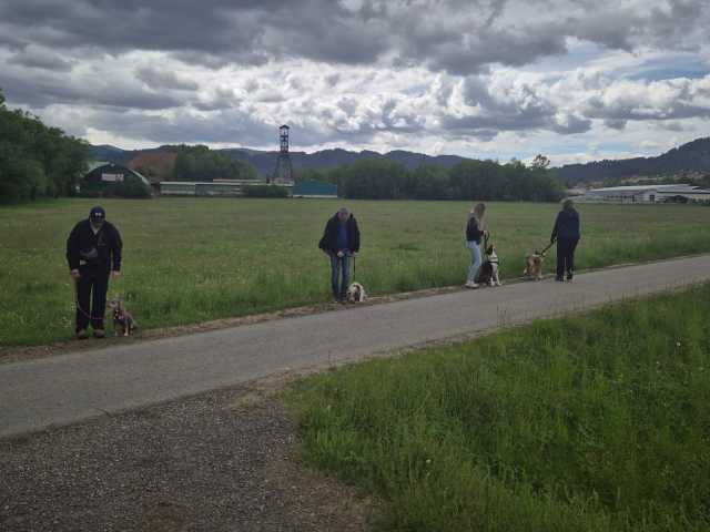 IMG-20260521-WA0032