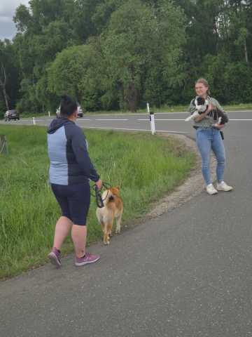 IMG-20260521-WA0033
