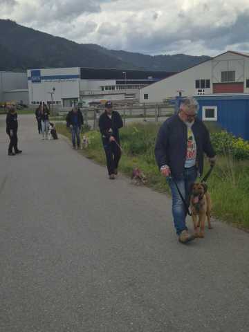IMG-20260521-WA0034