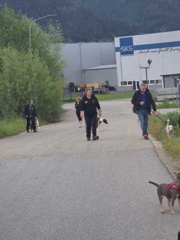 IMG-20260521-WA0035