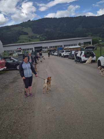 IMG-20260521-WA0036