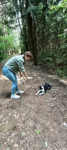 IMG-20260521-WA0038