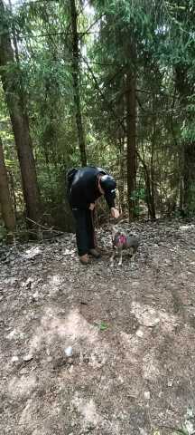 IMG-20260521-WA0039
