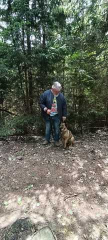 IMG-20260521-WA0040