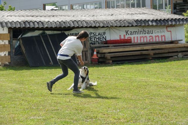 k-DSC00703
