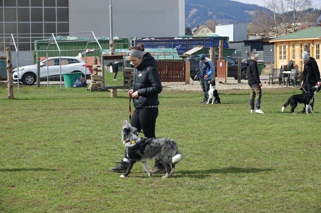 k-DSC09339