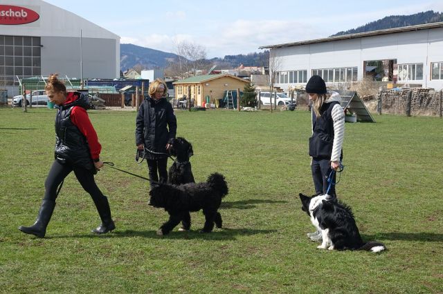 k-DSC09366