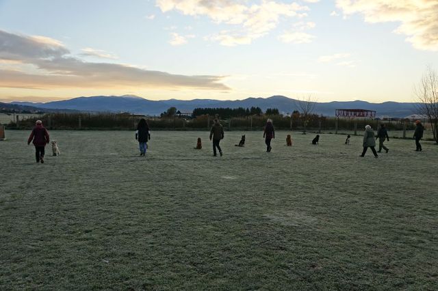 k-DSC02864